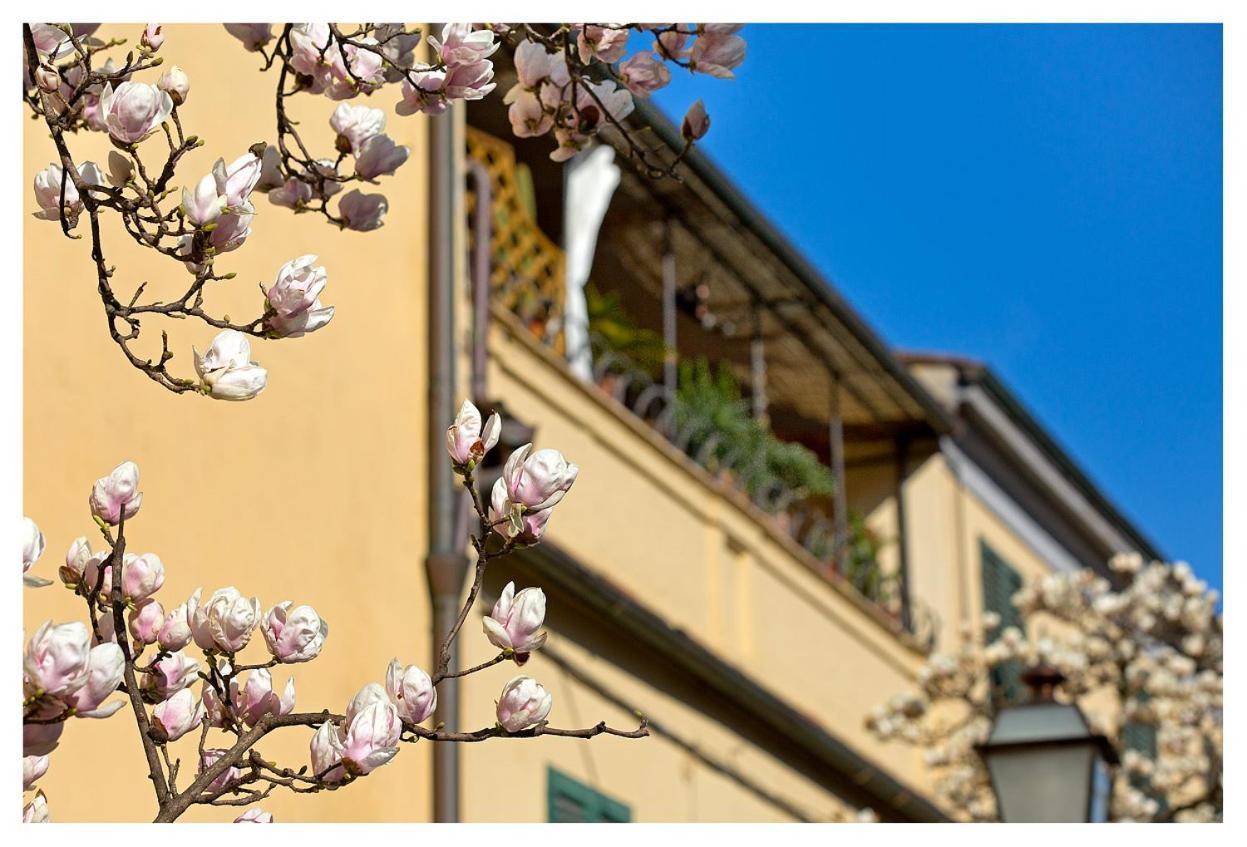 Casa San Girolamo Historic Flat With Cosy Terrace In Lucca'S City Centre Exteriér fotografie