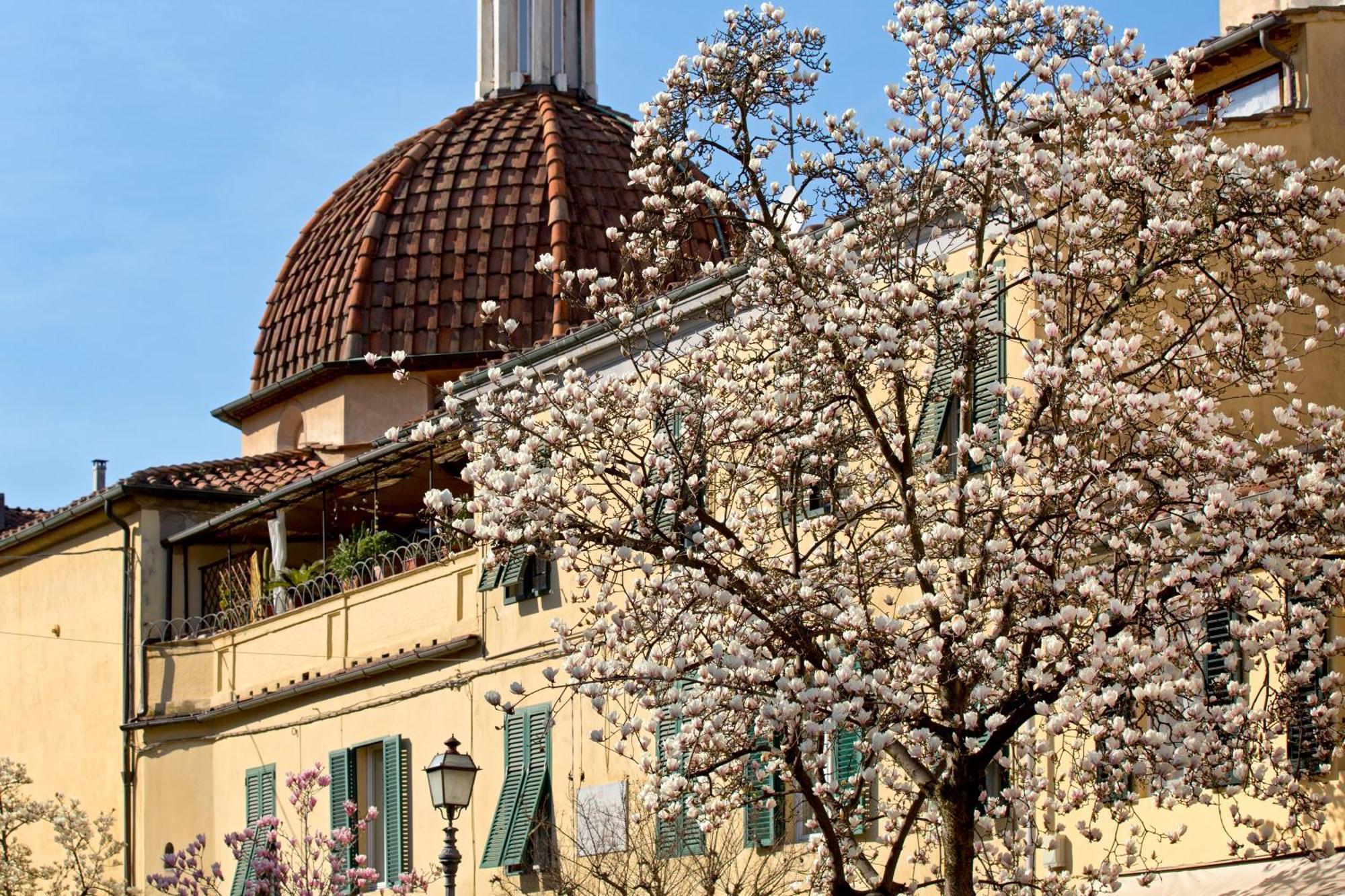 Casa San Girolamo Historic Flat With Cosy Terrace In Lucca'S City Centre Exteriér fotografie